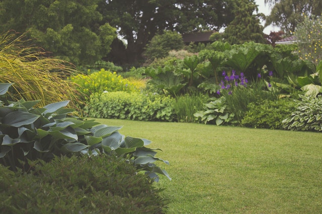 Hoe creëert u meer natuurbeleving in uw tuin?