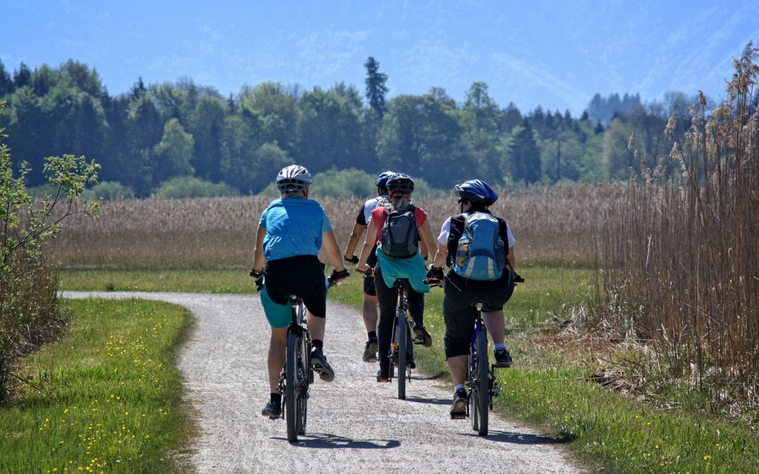 Heerlijk fietsen in Nederland