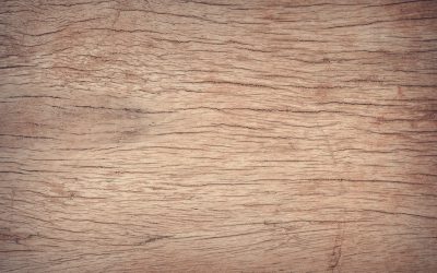 Met deze tips kies je de vloer die bij jouw stijl past!