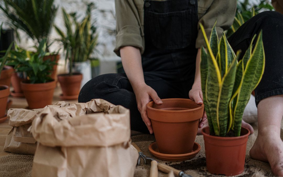 Geef je tuin een compleet nieuwe look met deze tips!