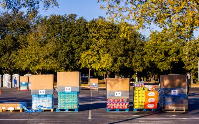 De impact van kunststof pallets op duurzaam ondernemen