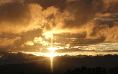 Hoe zonwering bijdraagt aan wooncomfort en energiebesparing